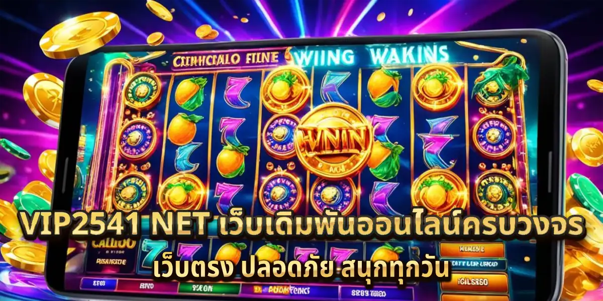 vip2541 net